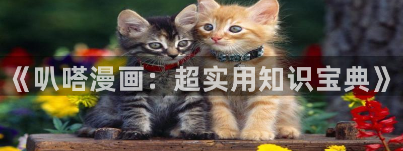 歪歪漫画韩国在线观看